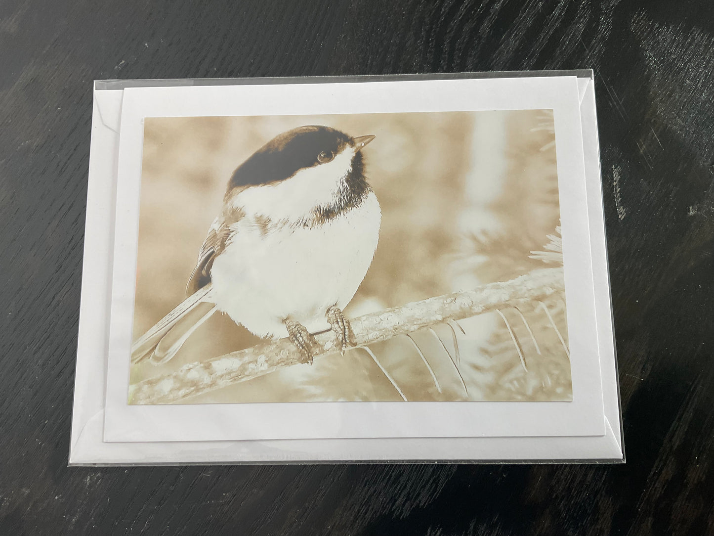Patti Parker Photography Cards