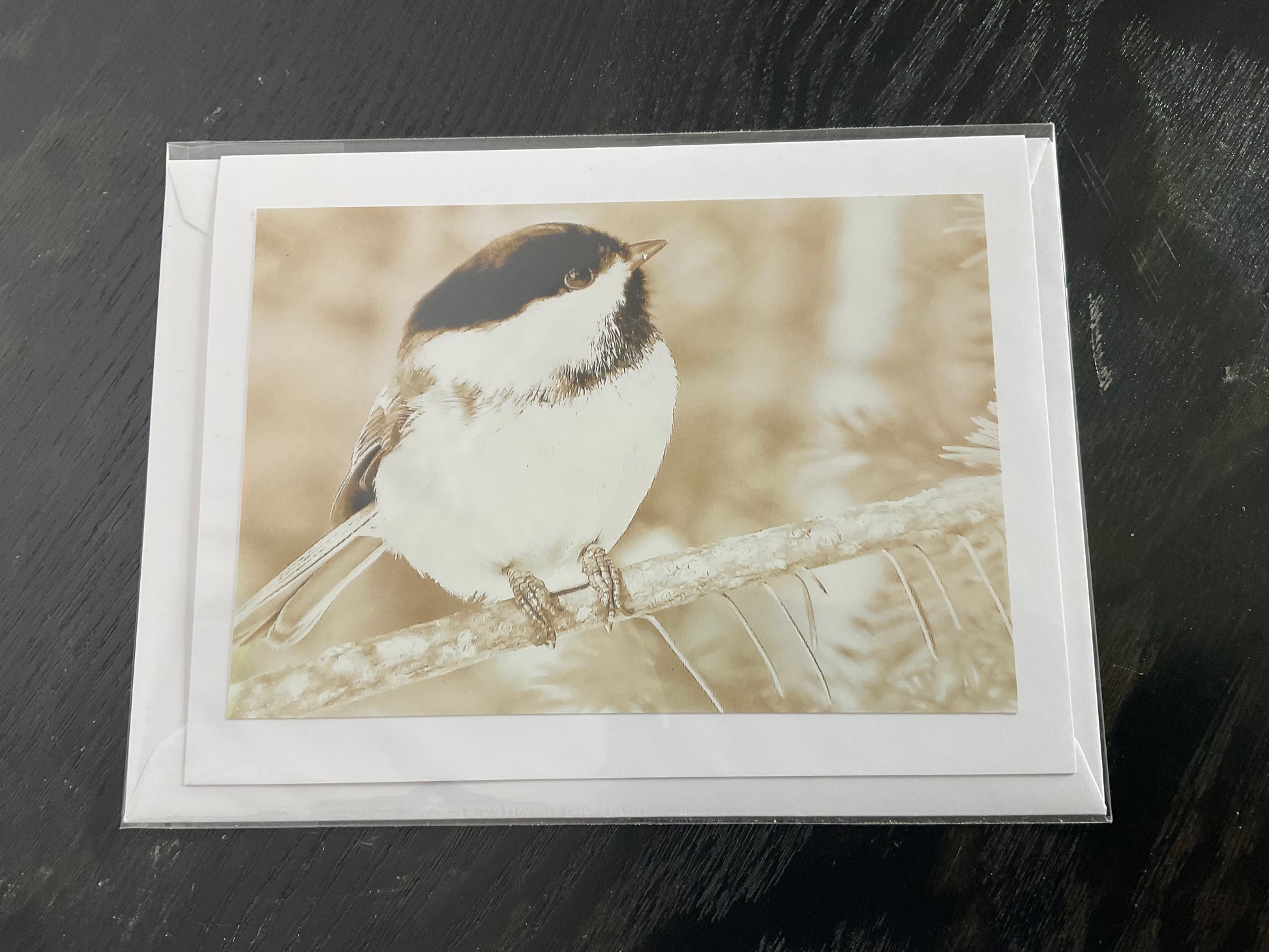 Patti Parker Photography Cards