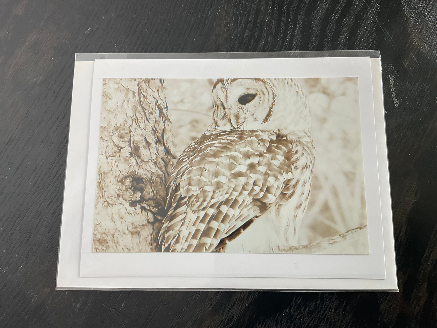 Patti Parker Photography Cards