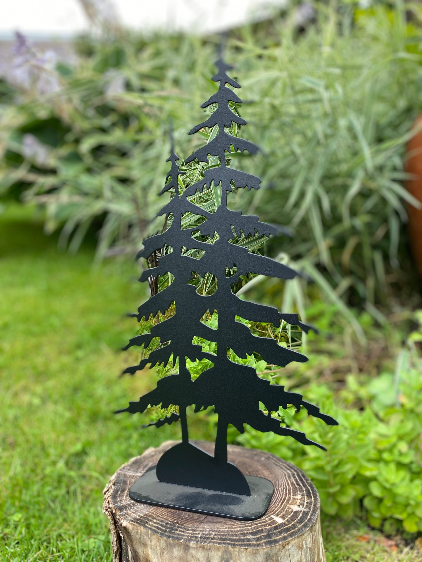 Pine Trees on Base