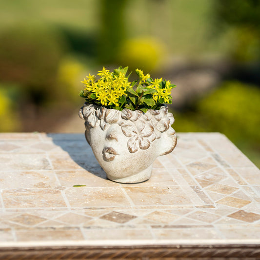 Cement planter