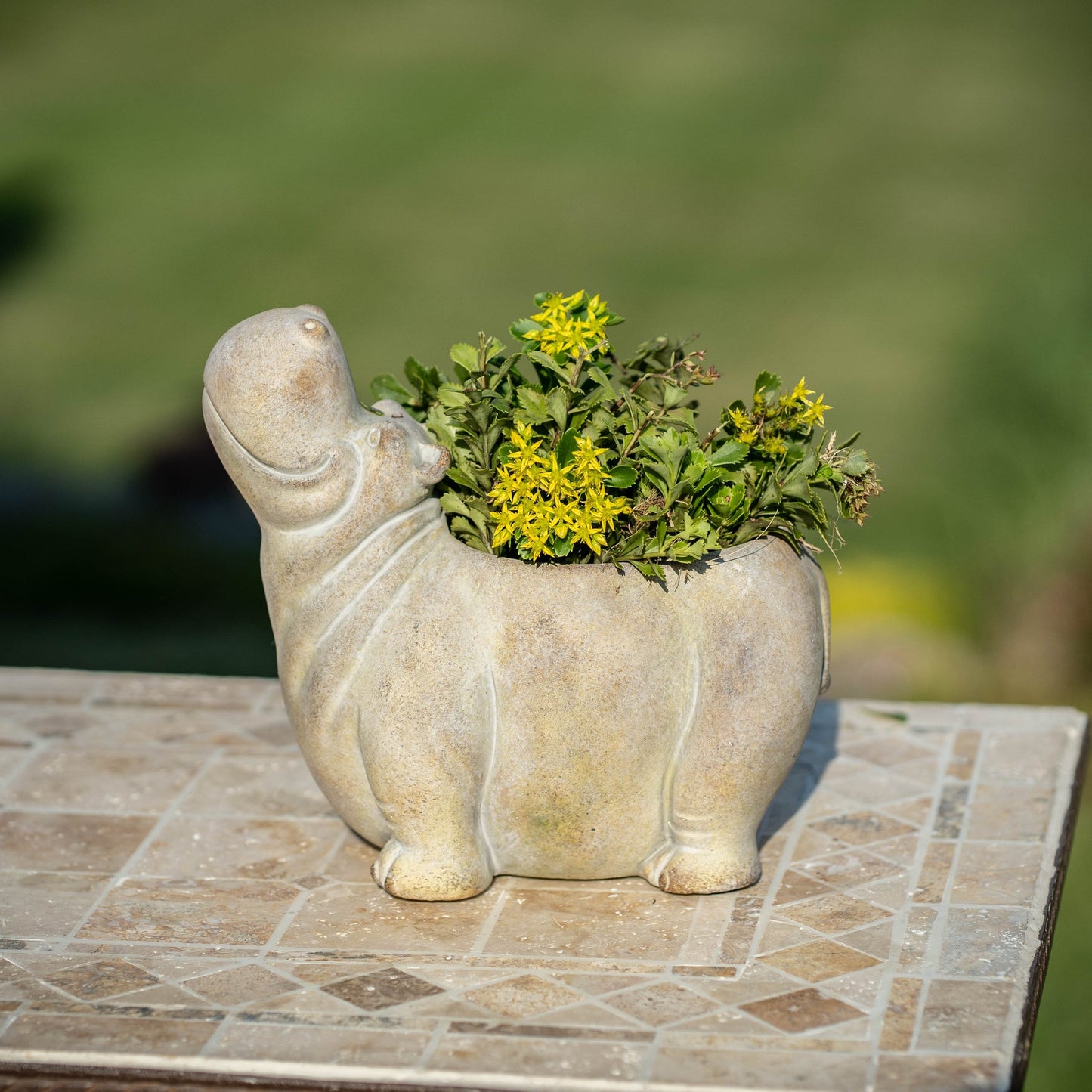 Cement hippo planter