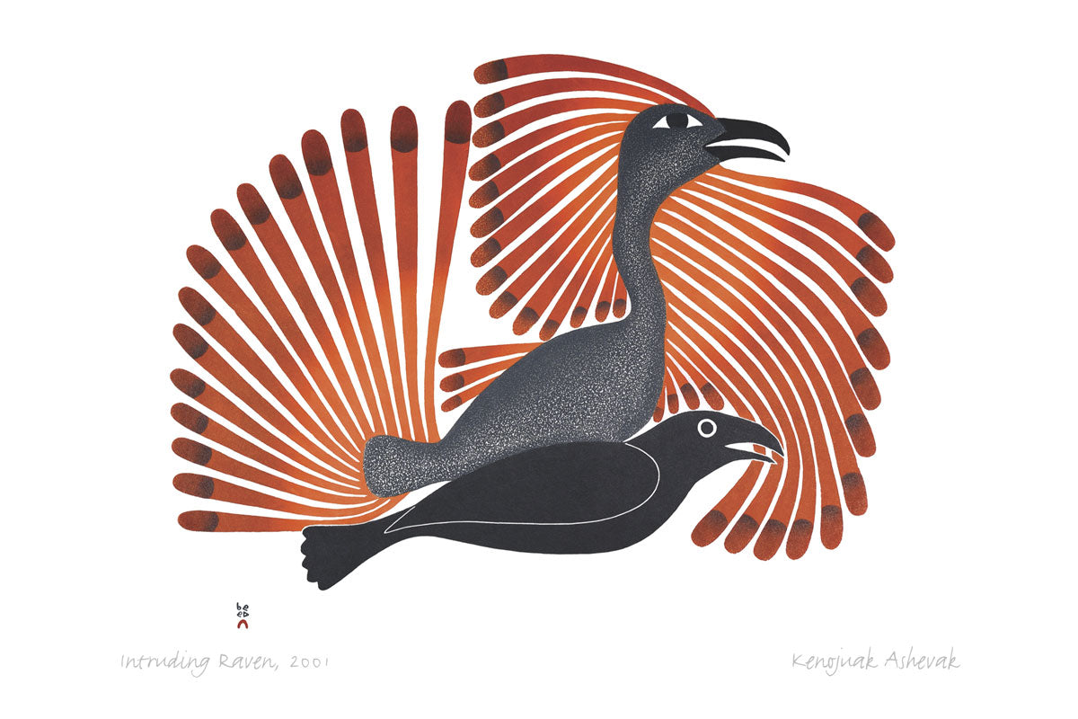Intruding Raven Art Card - Artist Kenojuak Ashevak
