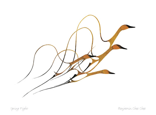 Indigenous art print