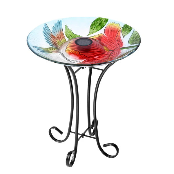 Solar bird bath