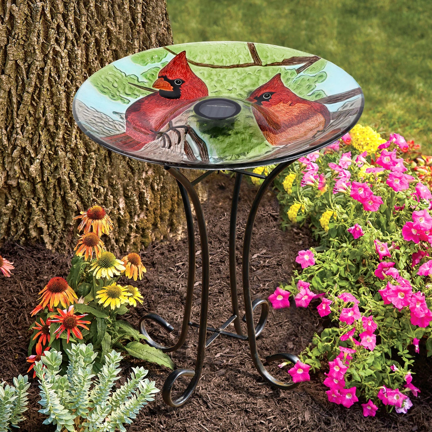 Solar bird bath