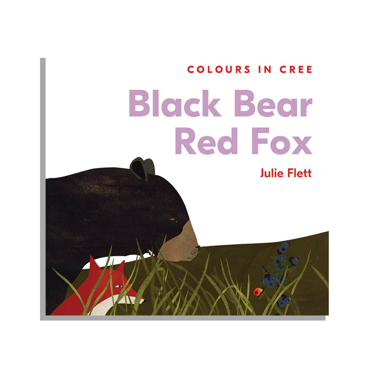 Indigenous children’s book
