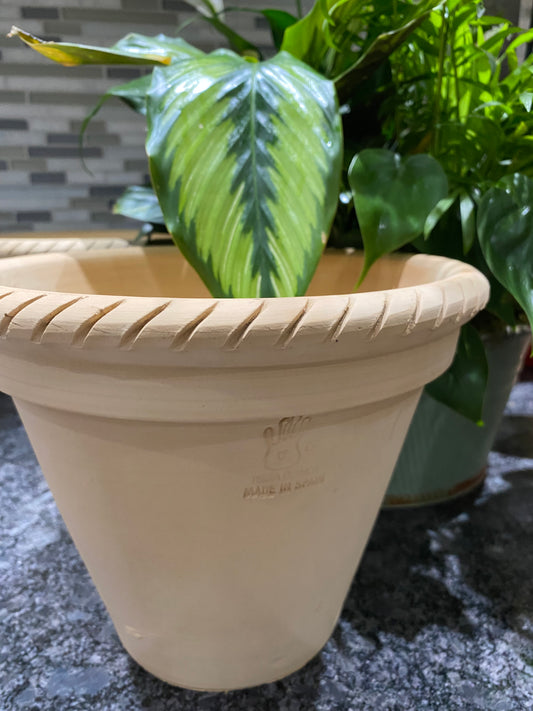 Cónicas Spanish Pot