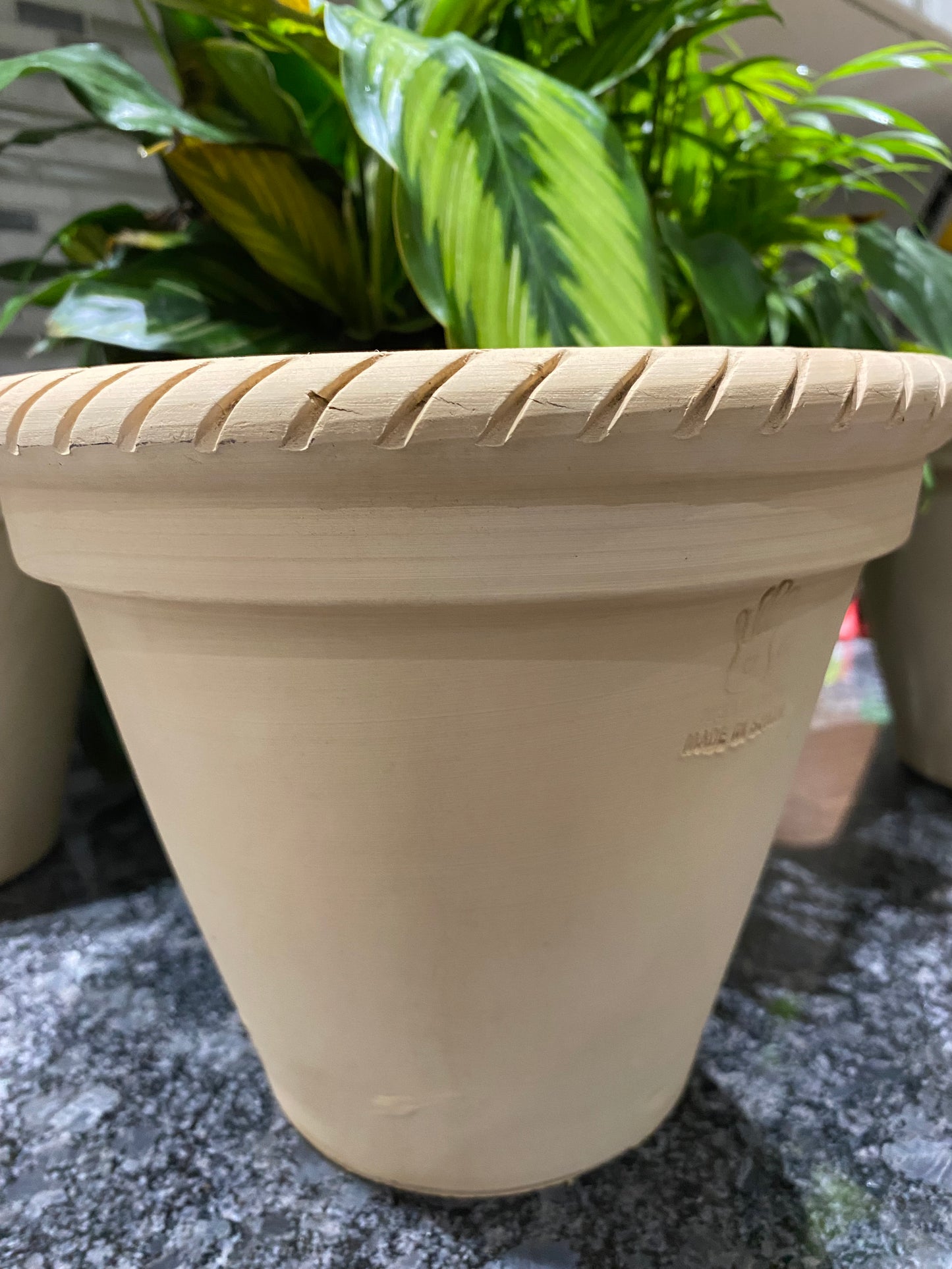 Cónicas Spanish Pot