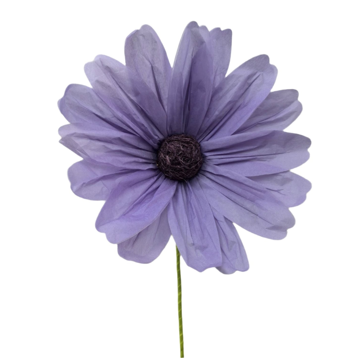Paper Large Cosmos