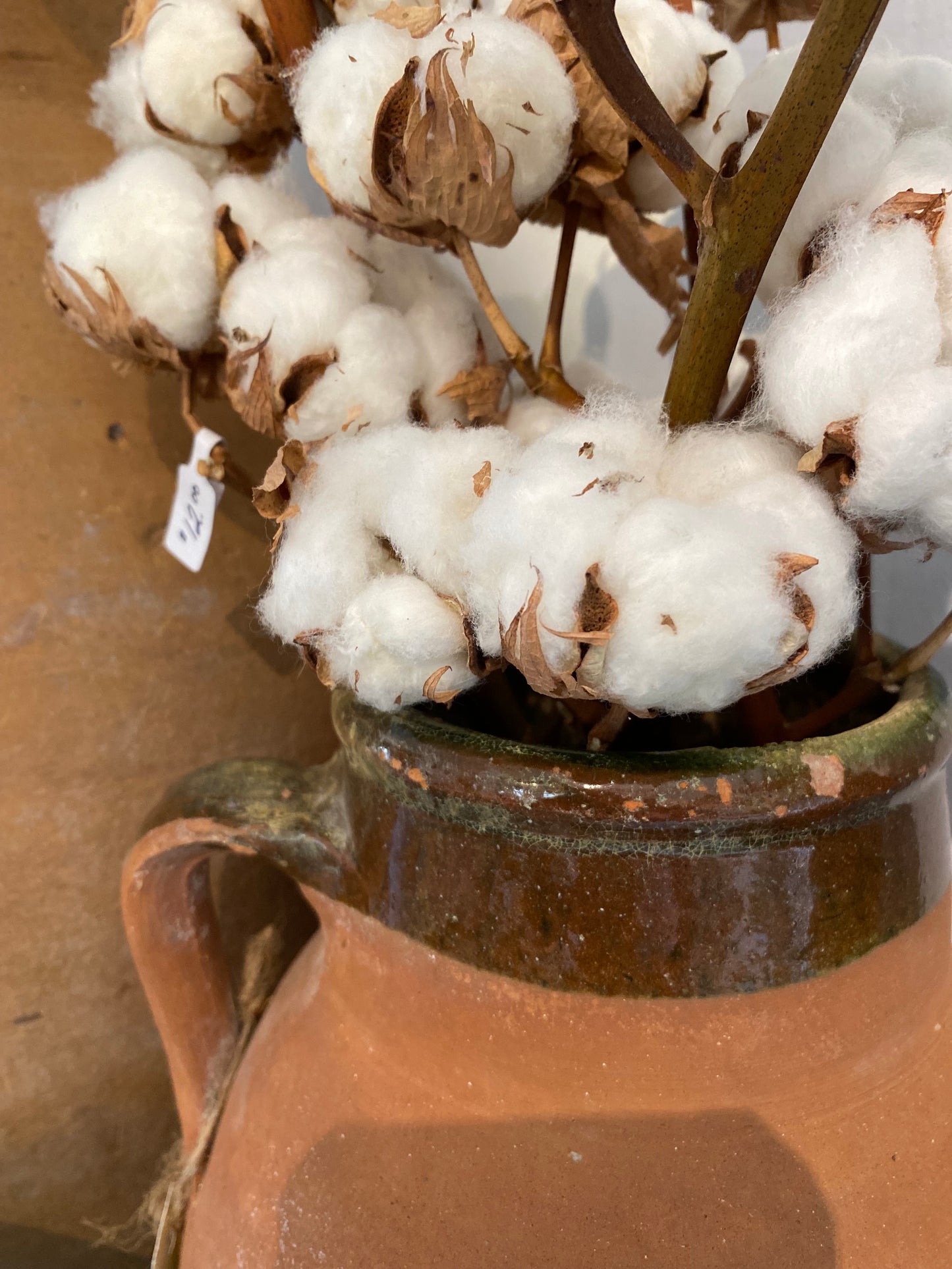Cotton Stem - Floral Decor