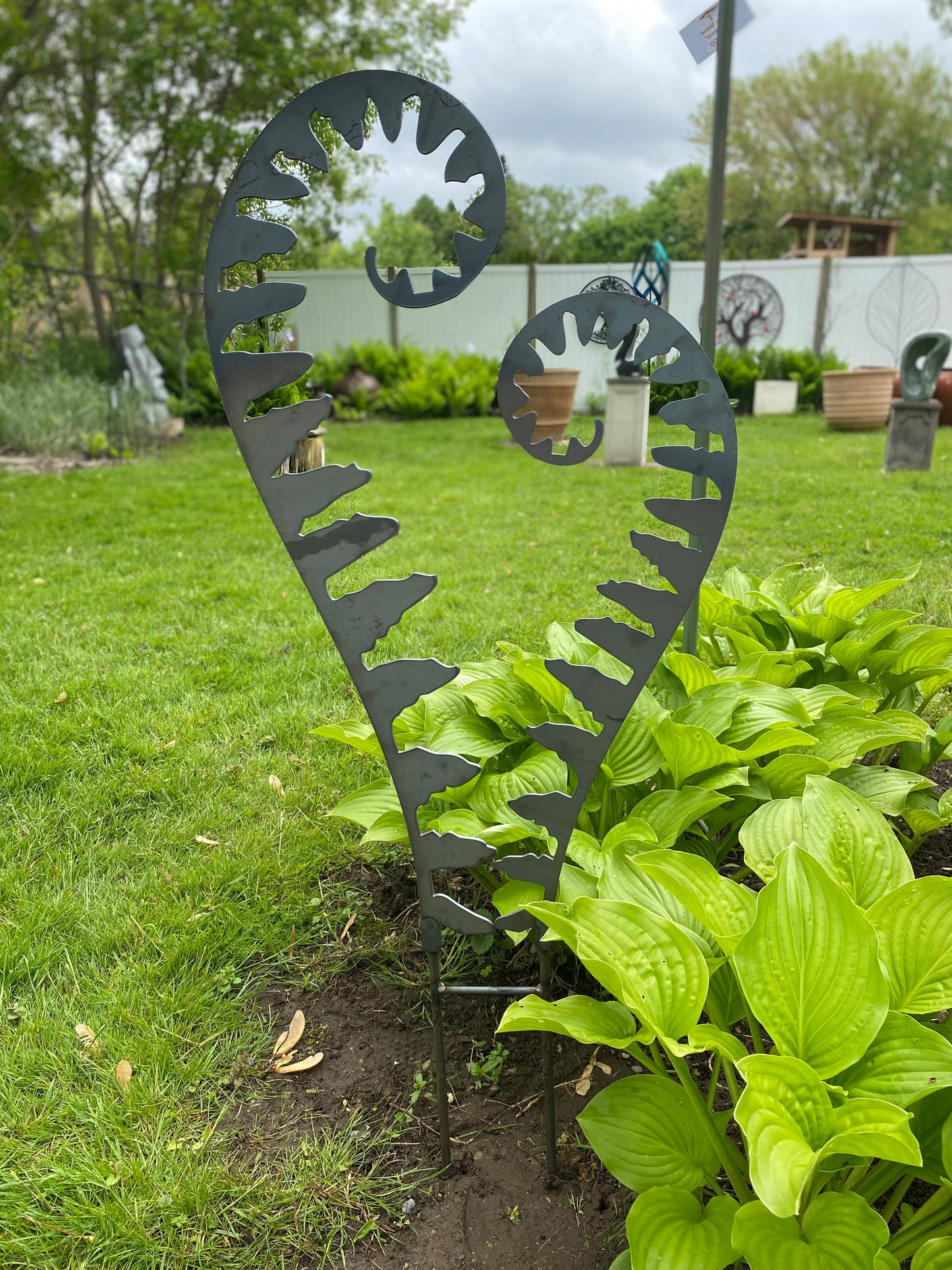 Metal Fiddlehead