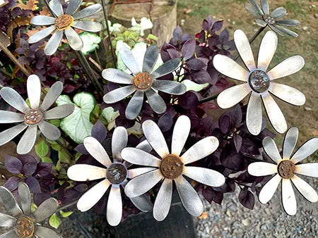 Metal daisies