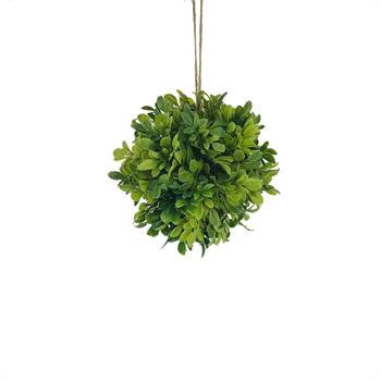 Hanging Boxwood Ball 7"