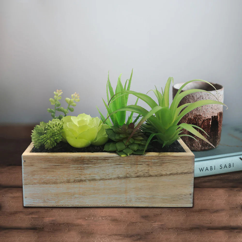 Rectangular Wooden Planter with Succulents