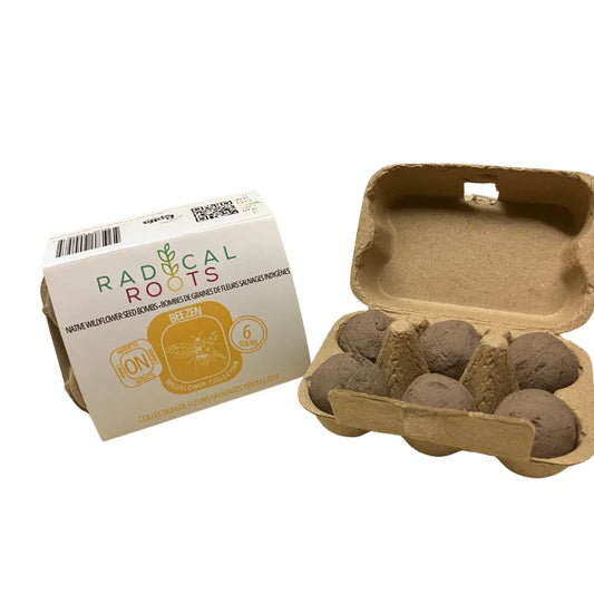 wildflower seed bombs