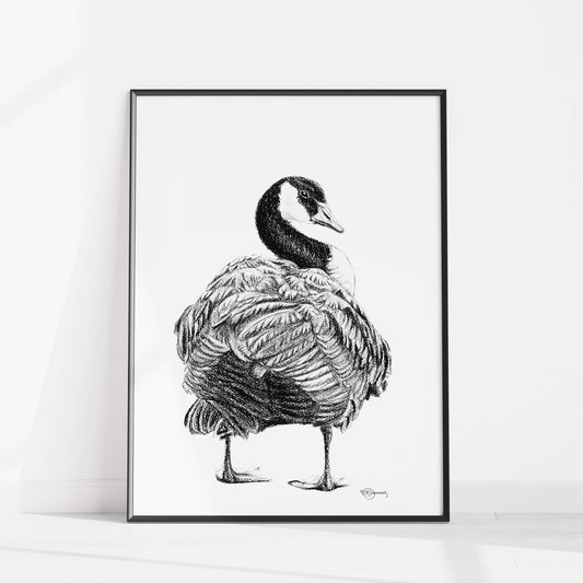Canada Goose - Canada Goose Illustration Print