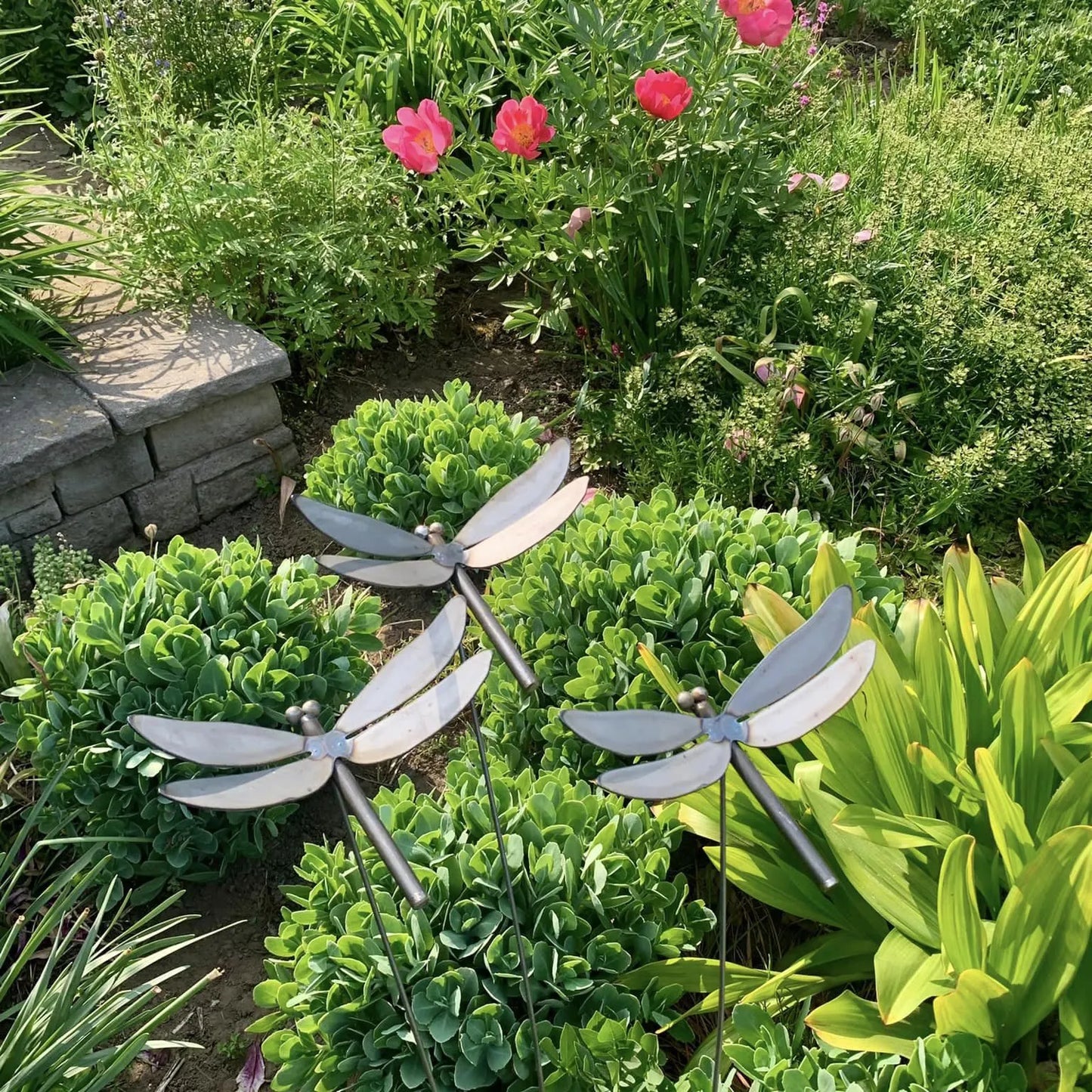Metal Dragonfly Spray