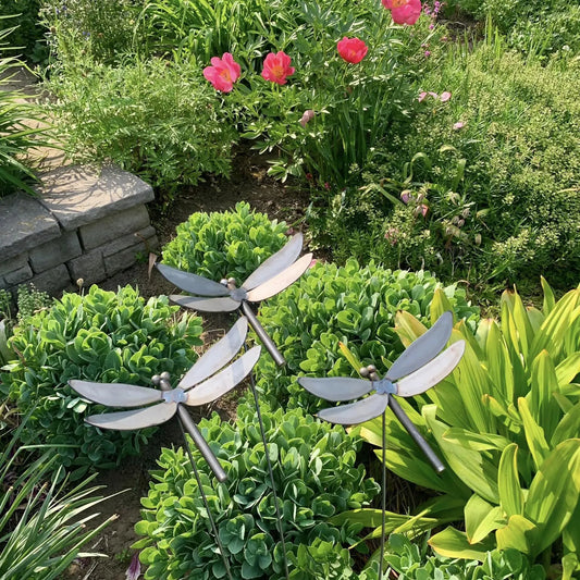 Metal Dragonfly Spray
