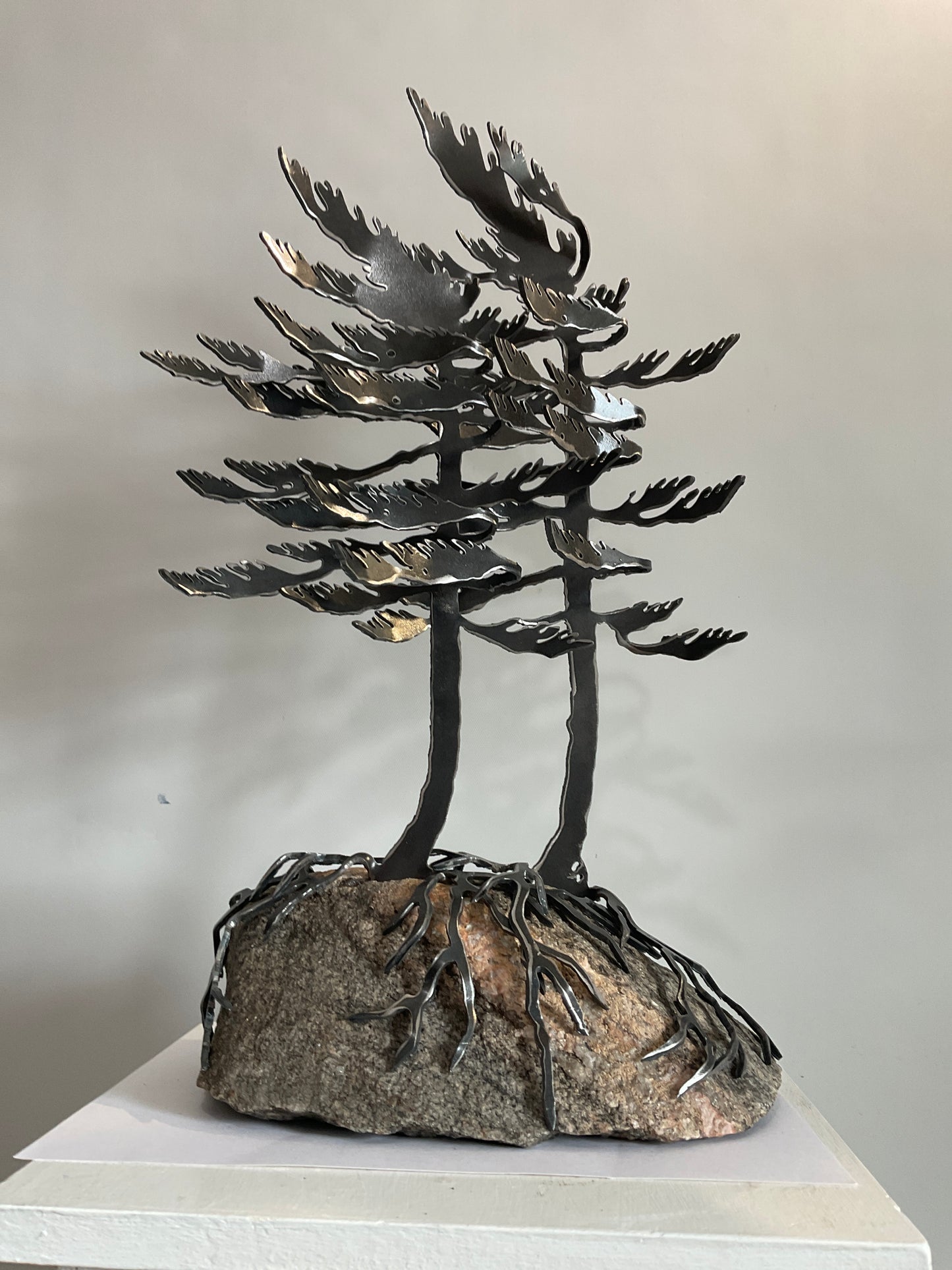 Windswept Trees XVIII