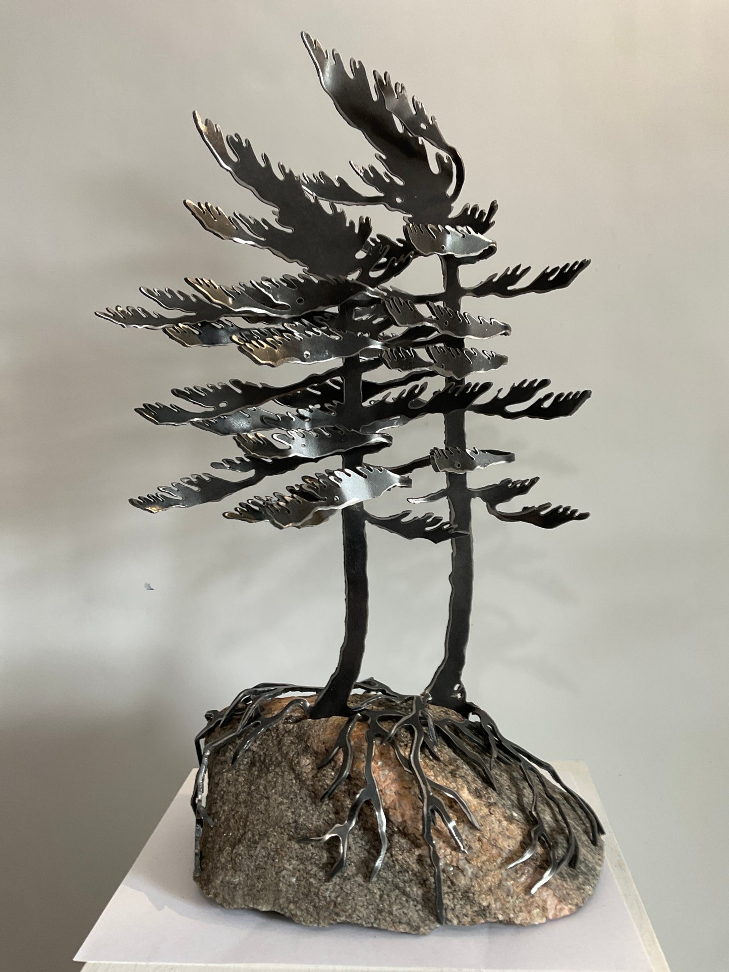 Windswept Trees XVIII