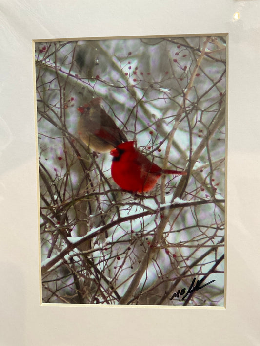 Cardinal Pair