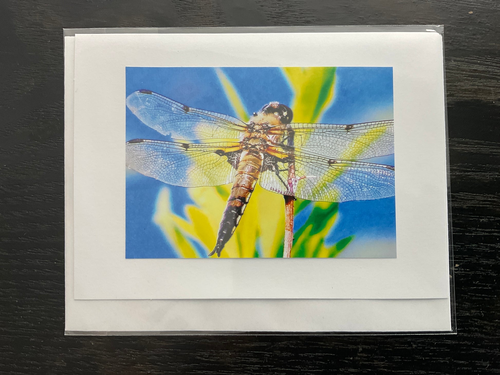 Patti Parker Photography Note Cards