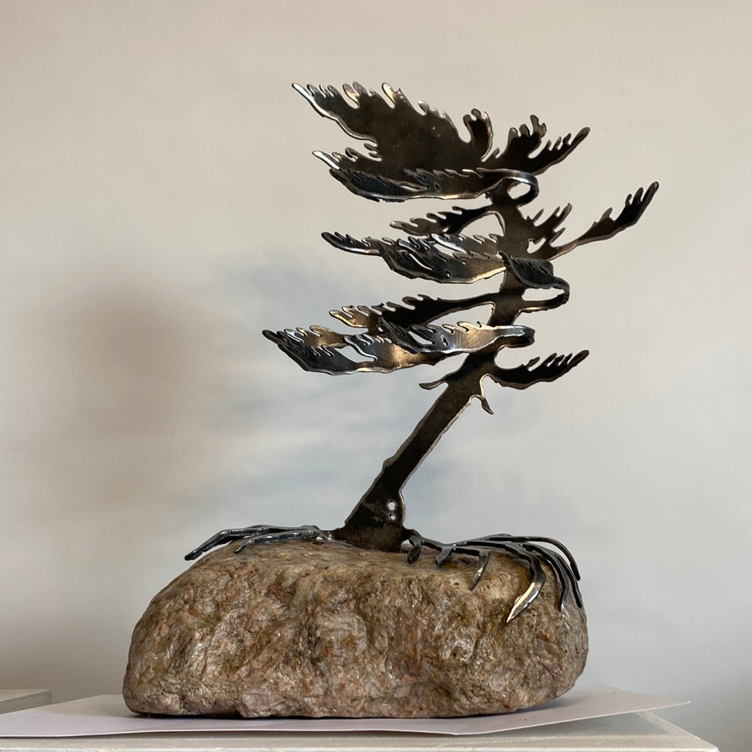 Windswept Tree VI
