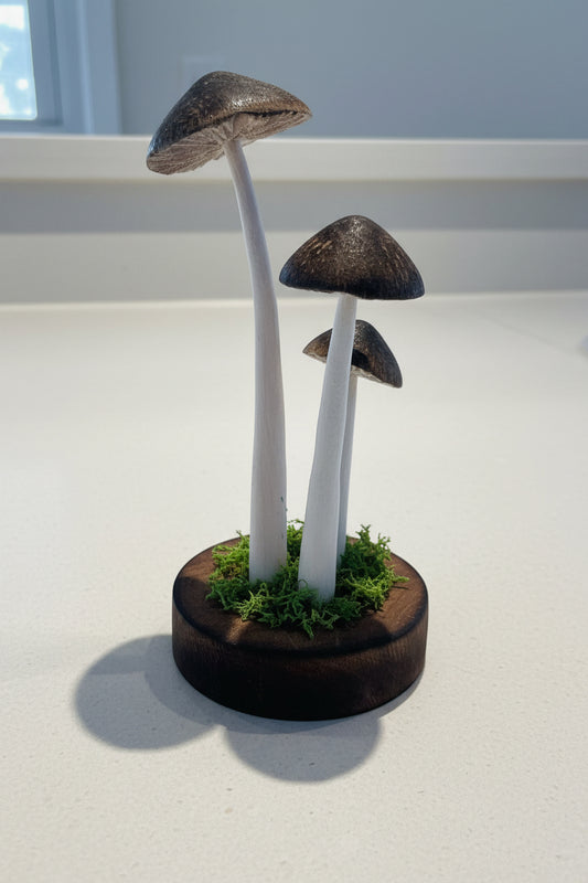 Hand carved wood triple mushroom by artist Adam Mack