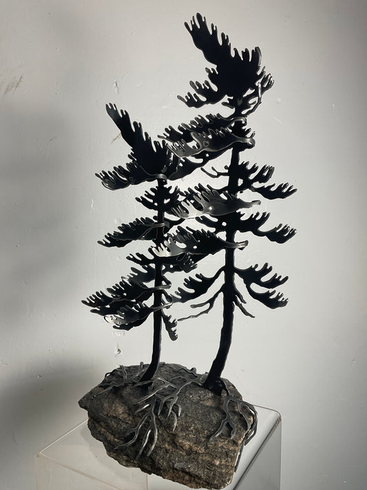 Cathy Mark windswept pine on granite
