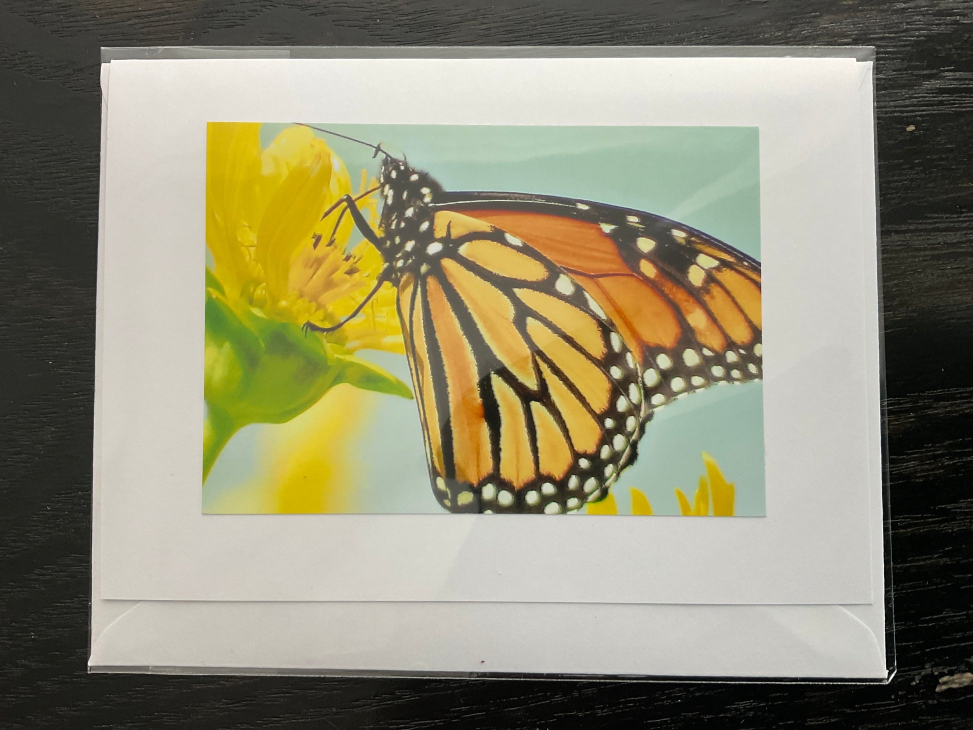 Patti Parker Photography Note Cards