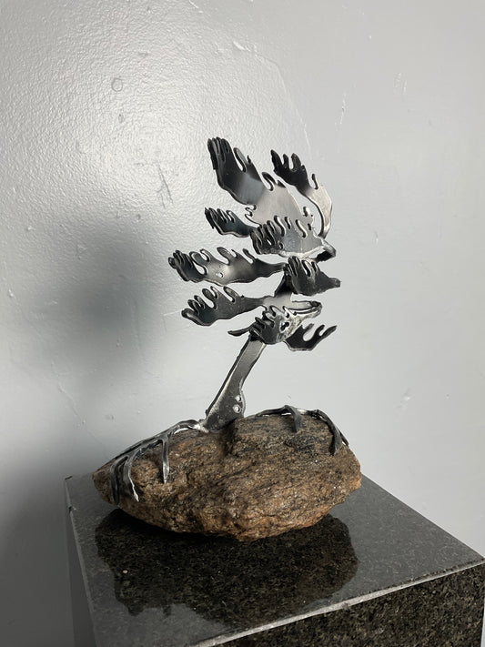 Cathy Mark windswept tree on stone