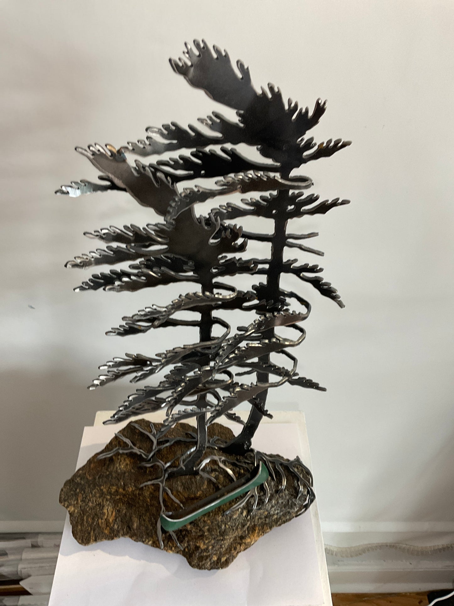 Windswept Trees with Canoe XXI