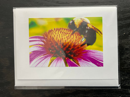 Patti Parker Photography Note Cards