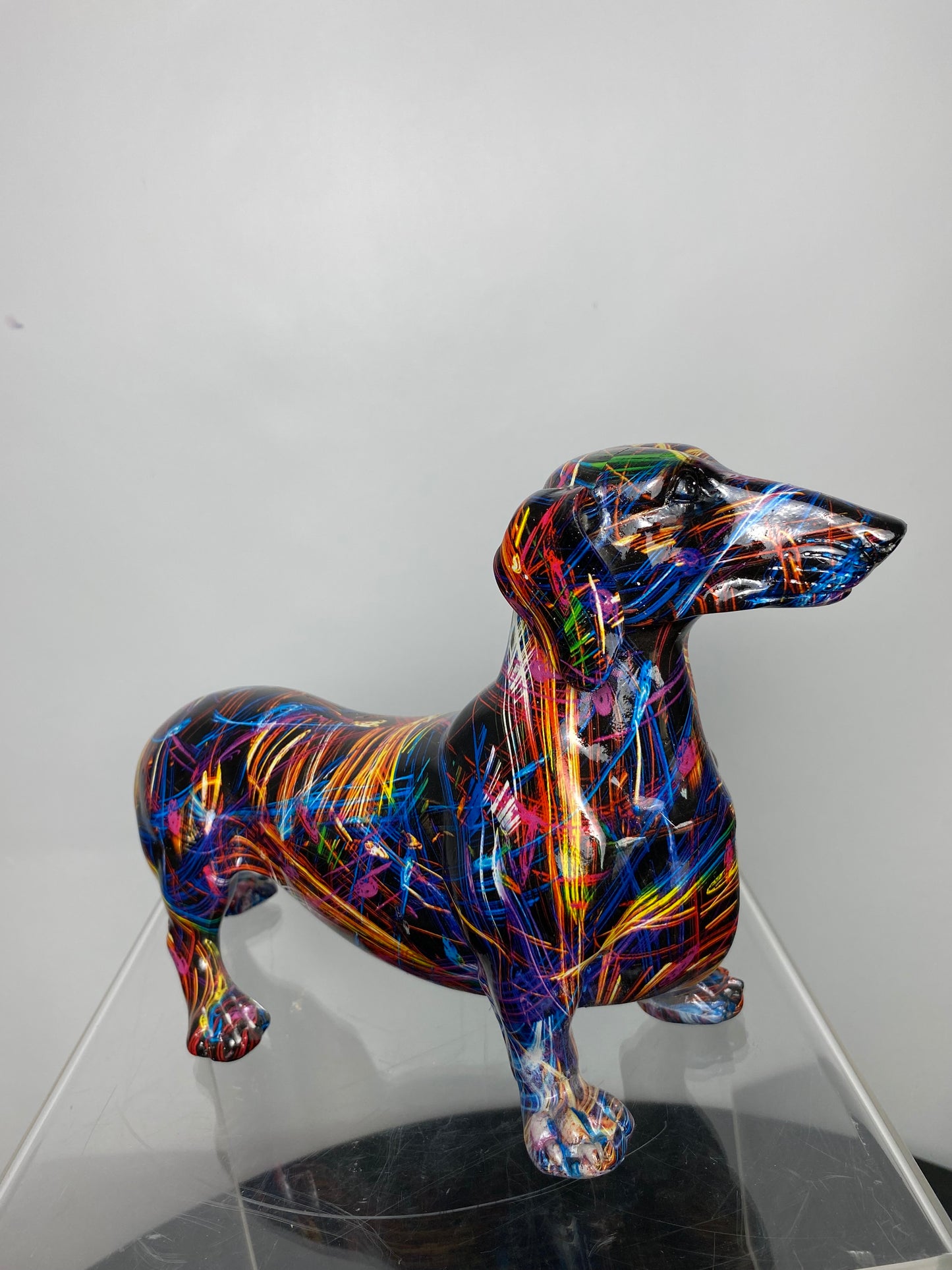 Supernova dachshund