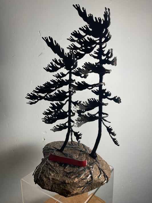 Cathy Mark windswept pines with canoe on granite