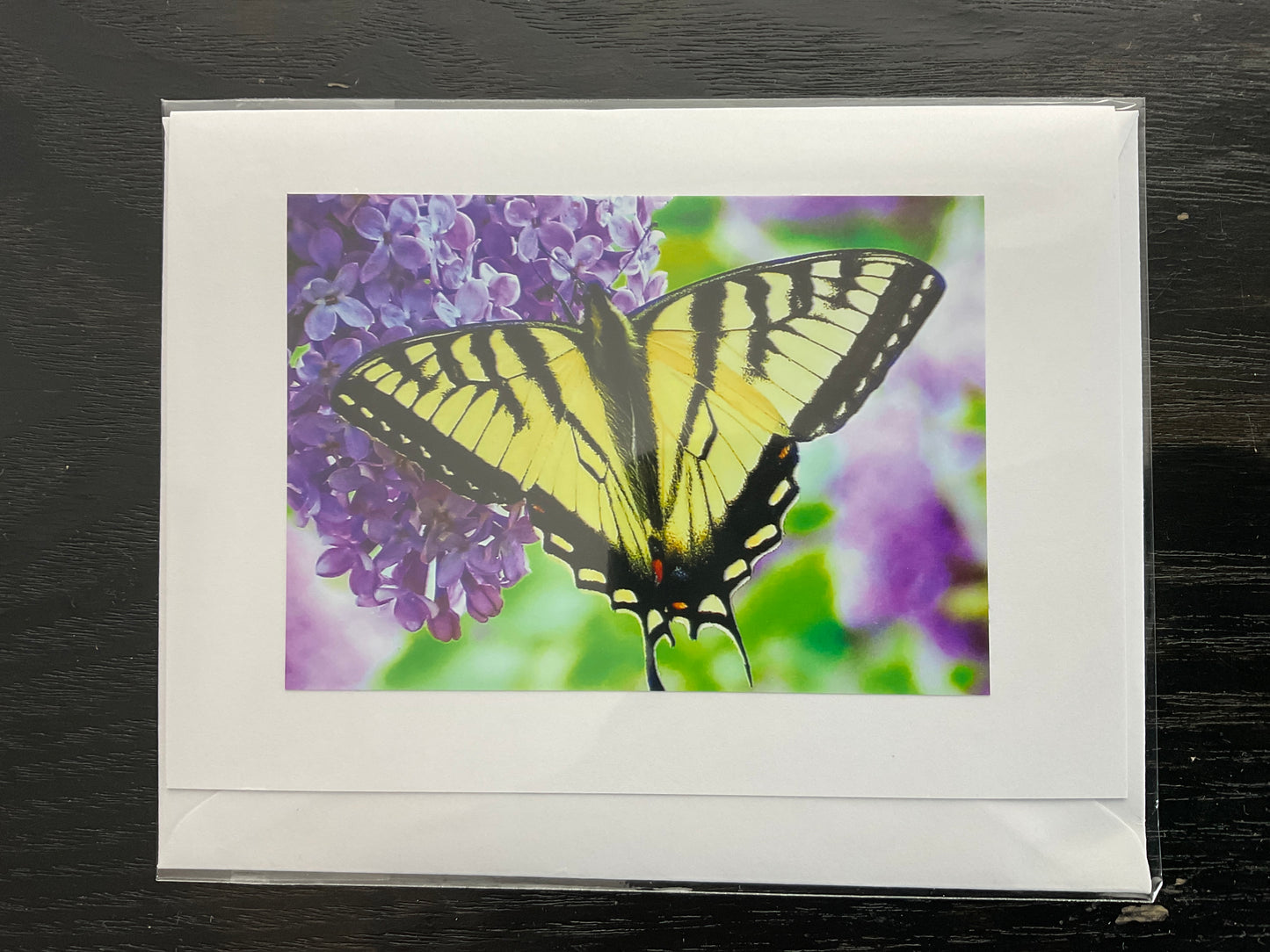 Patti Parker Photography Note Cards