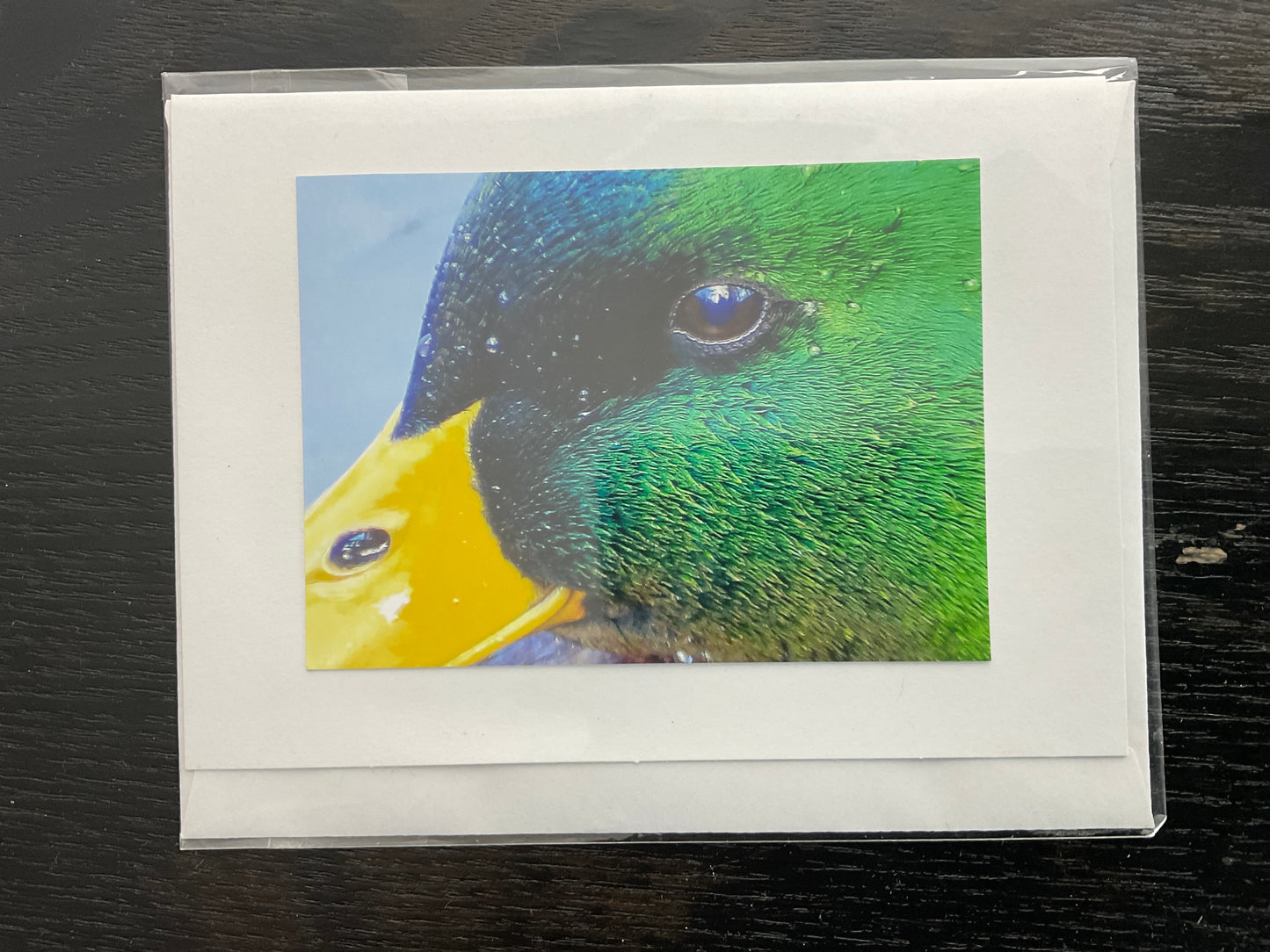 Patti Parker Photography Note Cards
