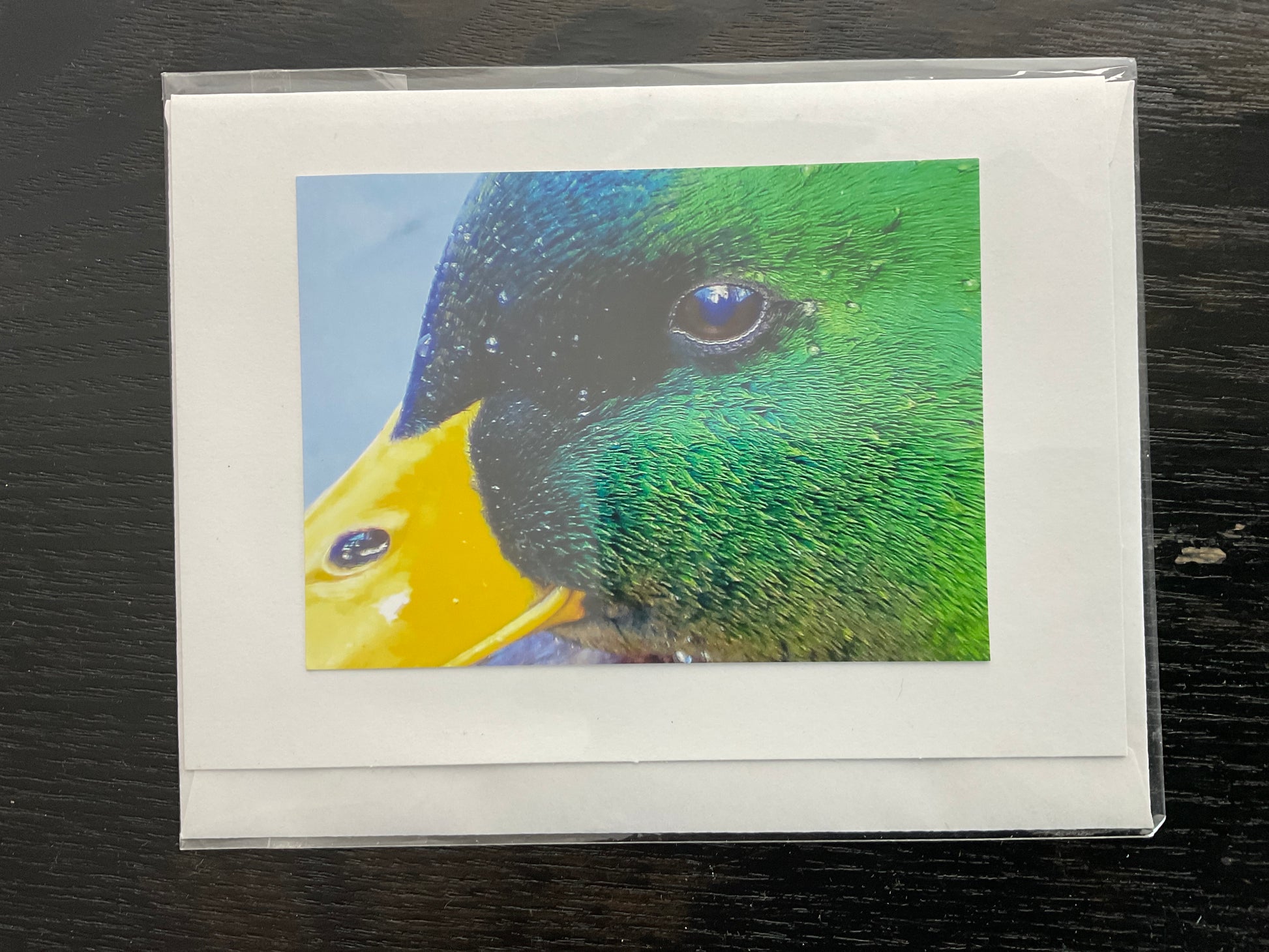 Patti Parker Photography Note Cards