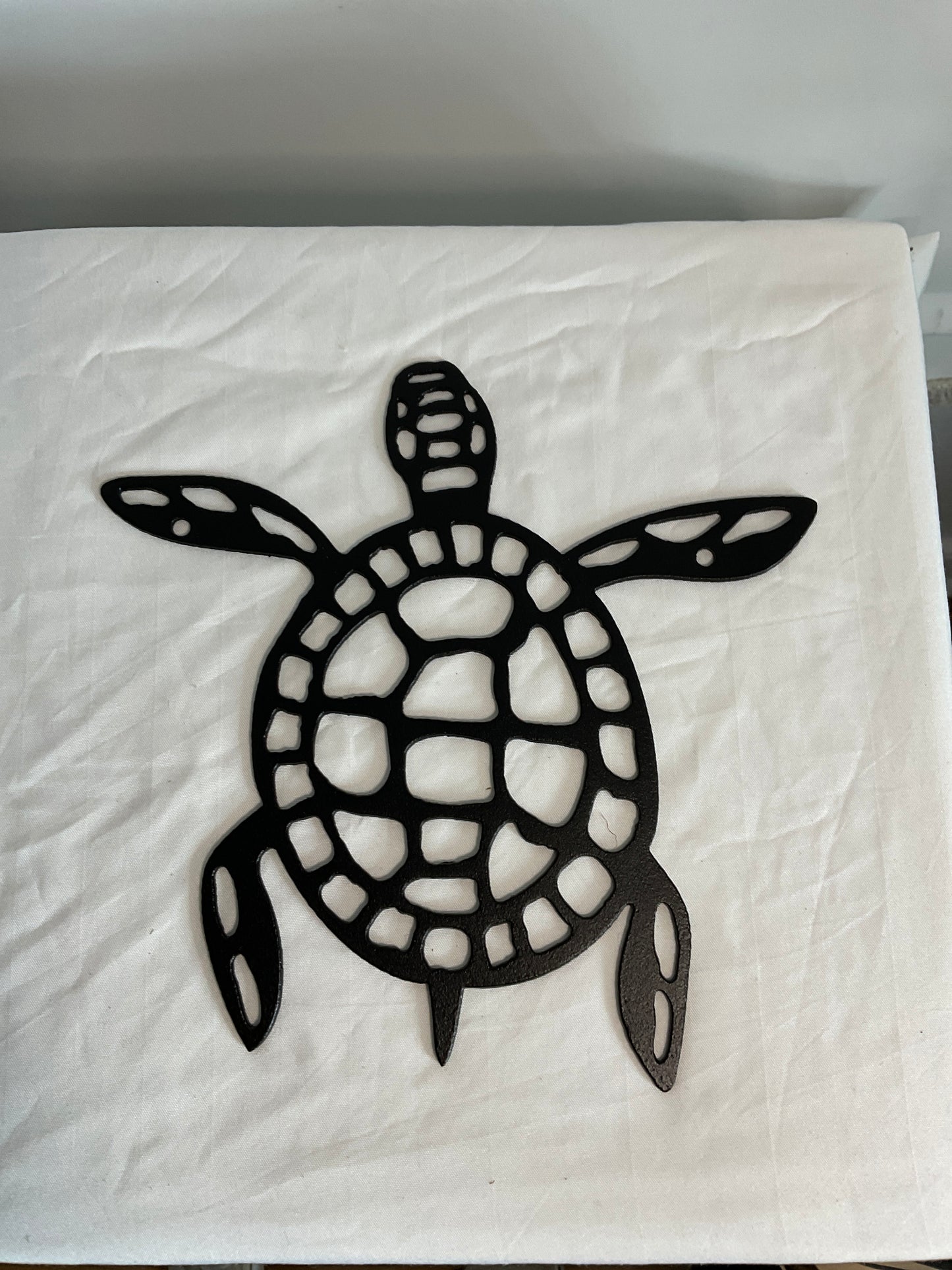 Turtle 8”