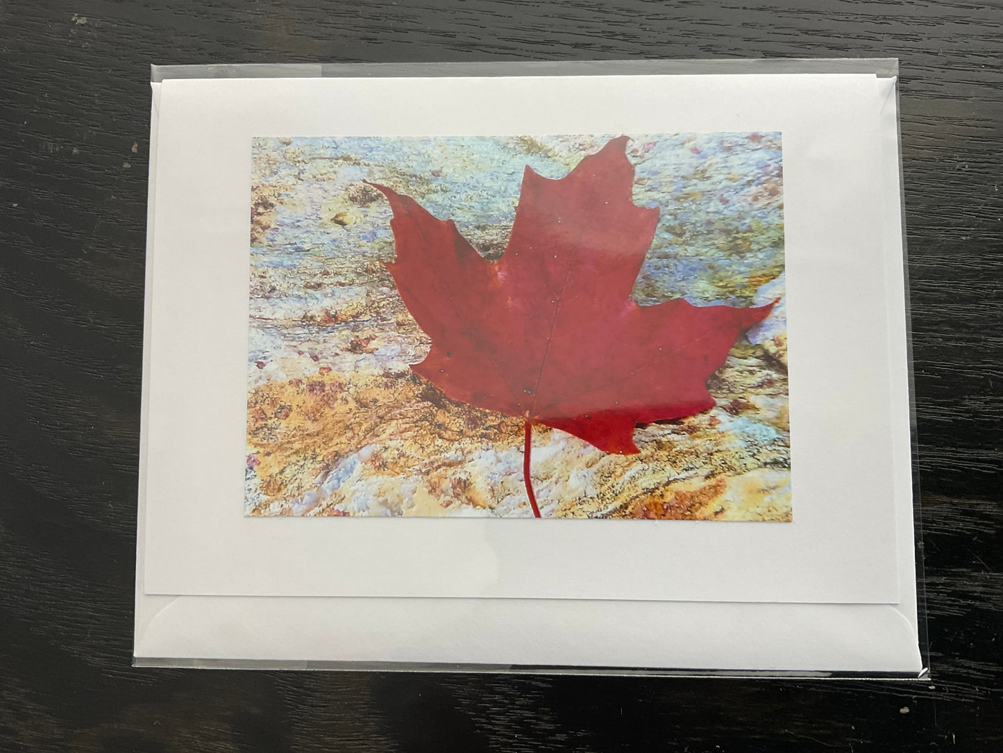 Patti Parker Photography Note Cards