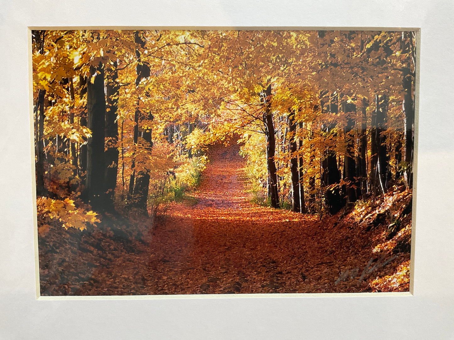 Autumn Morning Photograph