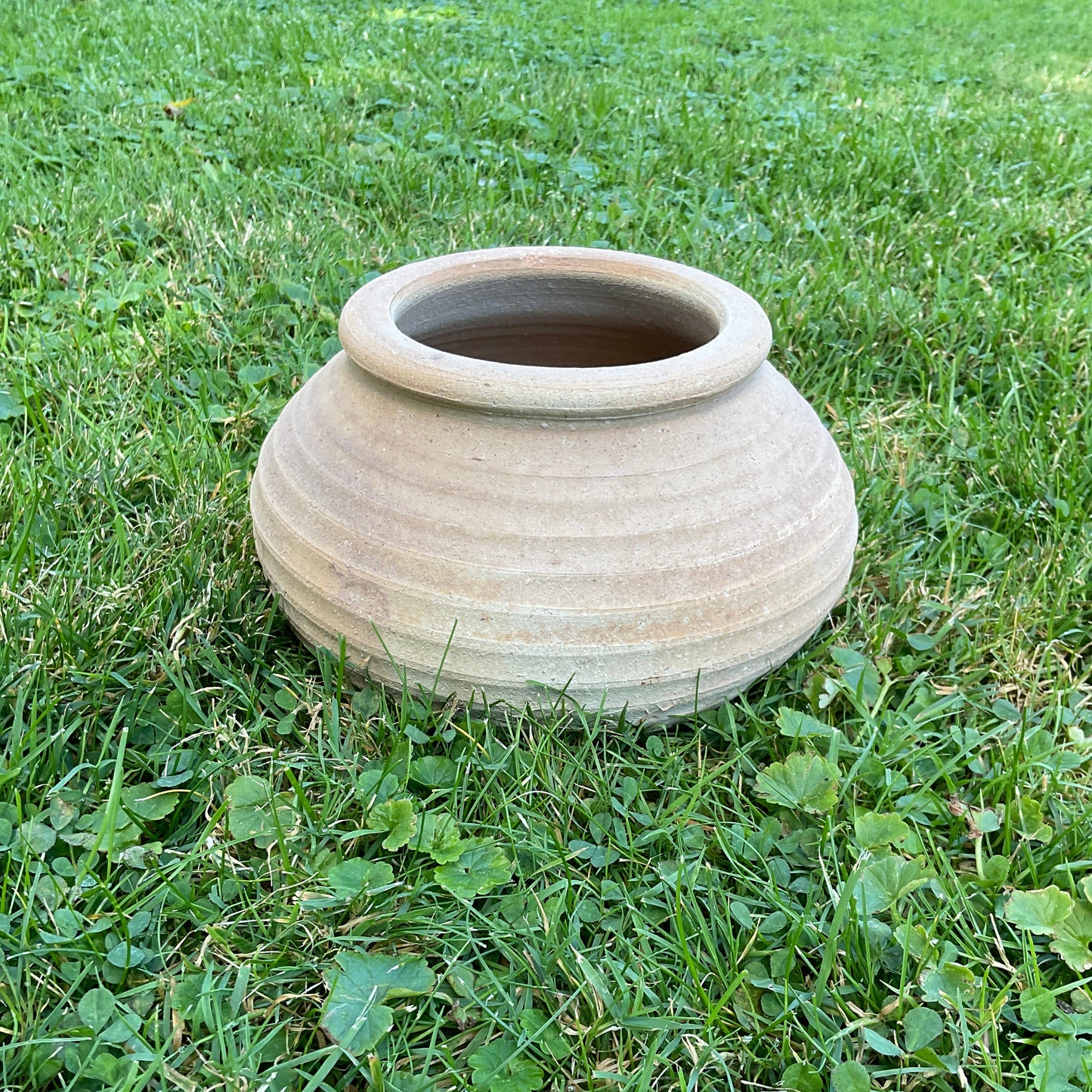 Cretan pot - Asterios