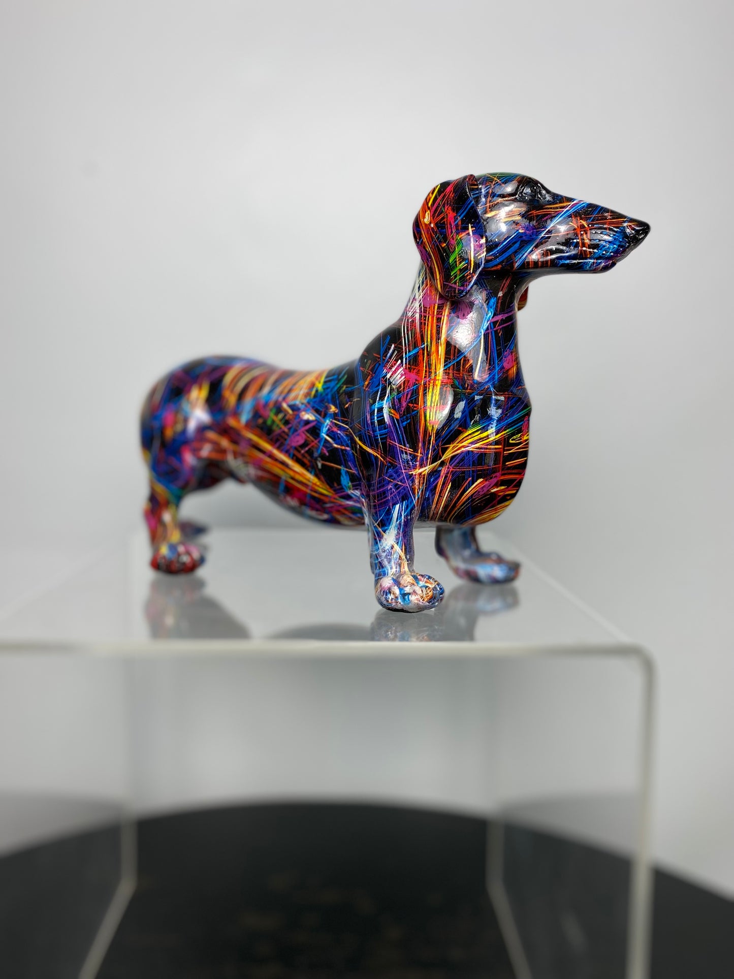 Supernova dachshund