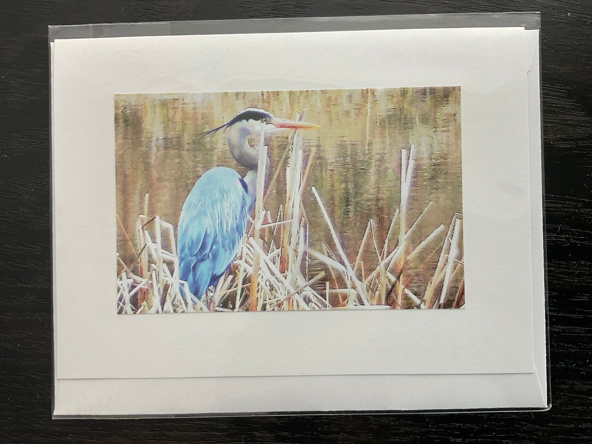 Patti Parker Photography Note Cards
