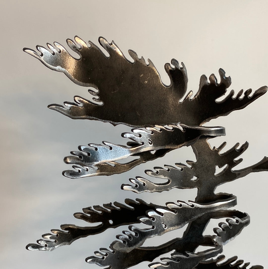 Windswept Tree VI