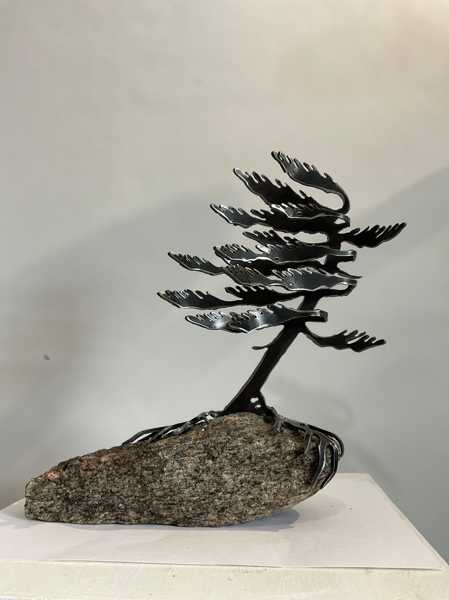 Windswept Trees X