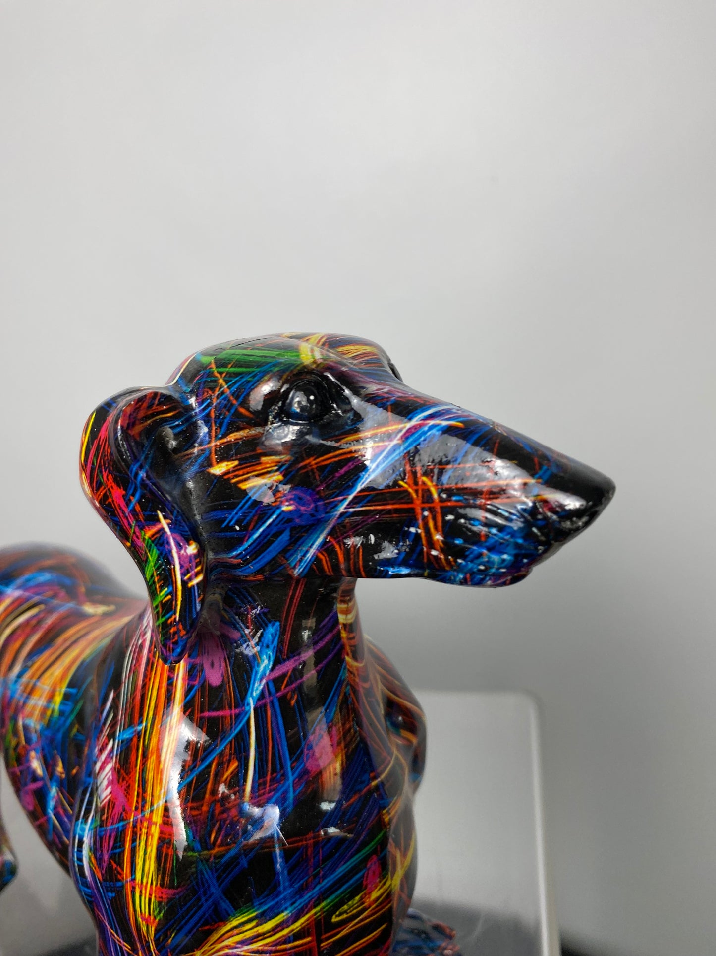 Supernova dachshund