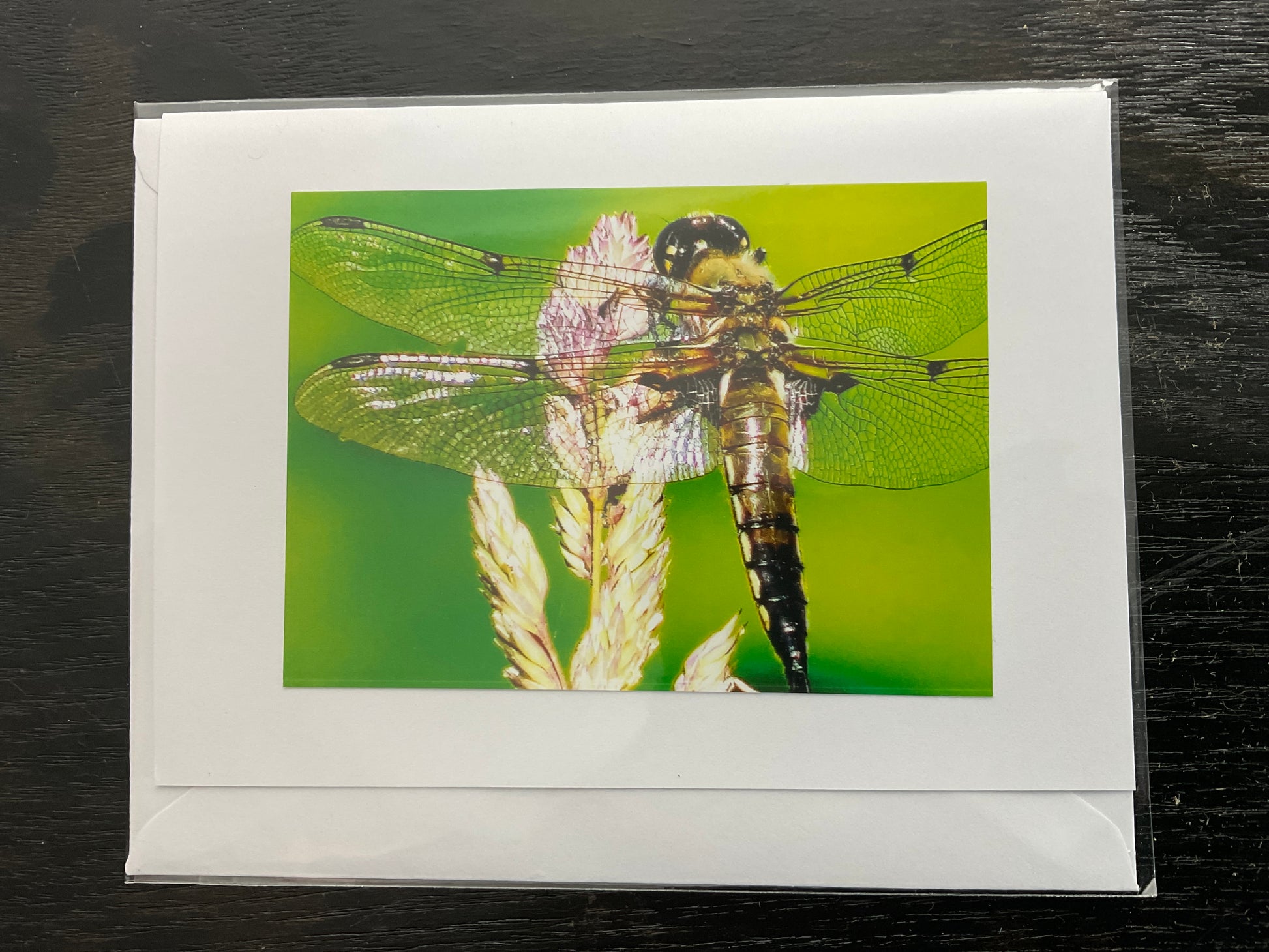 Patti Parker Photography Note Cards