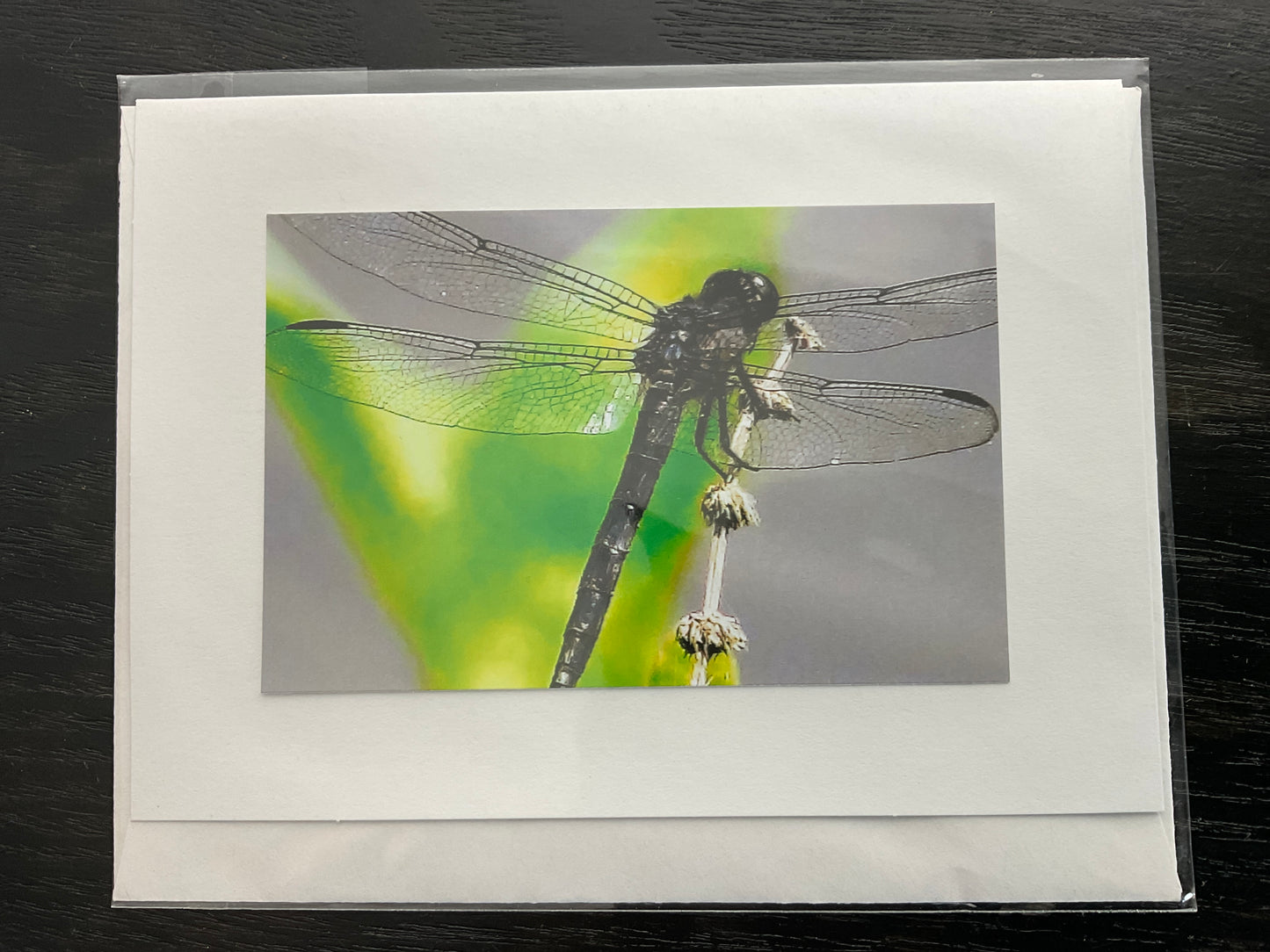 Patti Parker Photography Note Cards